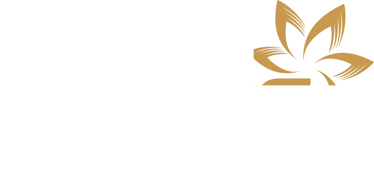 Lotus Food Solution
